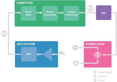 A Real-Time Phase-Locking System for Non-invasive Brain Stimulation